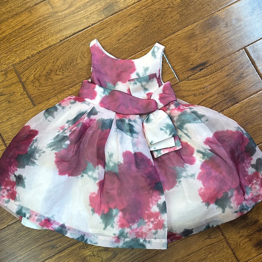 Janie and Jack Pink and Green Floral Organza Party Dress